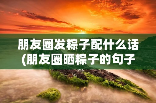 朋友圈发粽子配什么话(朋友圈晒粽子的句子)