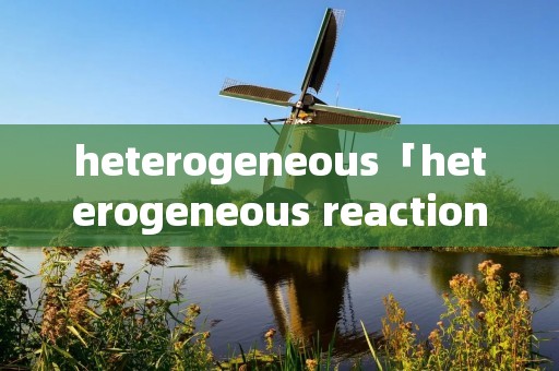 heterogeneous「heterogeneous reaction」