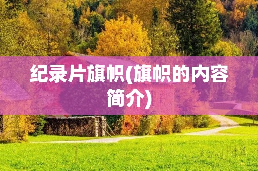 纪录片旗帜(旗帜的内容简介)