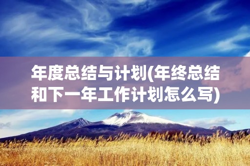 年度总结与计划(年终总结和下一年工作计划怎么写)