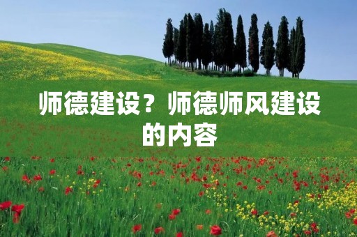 师德建设？师德师风建设的内容