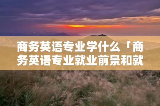 商务英语专业学什么「商务英语专业就业前景和就业方向」