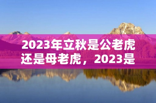 2023年立秋是公老虎还是母老虎,2023是公秋老虎还是母秋老虎