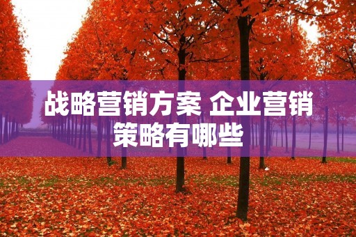 战略营销方案 企业营销策略有哪些
