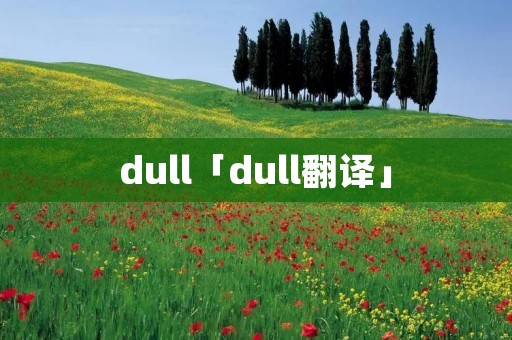dull「dull翻译」 dull「dull翻译」