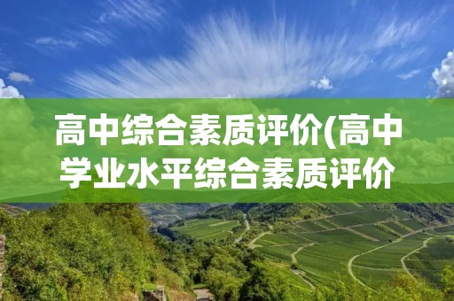 高中综合素质评价(高中学业水平综合素质评价怎么写)