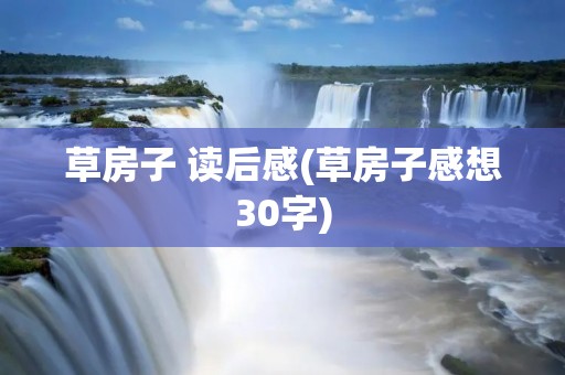 草房子 读后感(草房子感想30字)