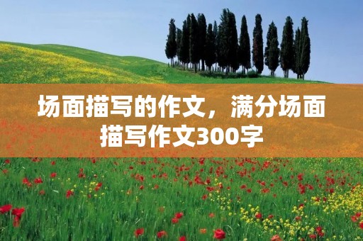场面描写的作文,满分场面描写作文300字