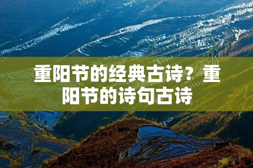 重阳节的经典古诗?重阳节的诗句古诗 重阳节的经典古诗?重阳节的诗句古诗