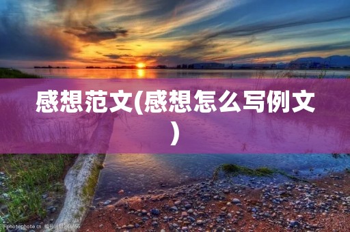 感想范文(感想怎么写例文)
