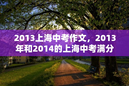 2013上海中考作文,2013年和2014的上海中考满分作文范文及解析