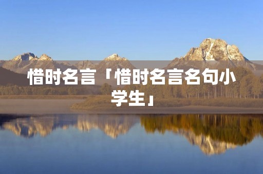 惜时名言「惜时名言名句小学生」