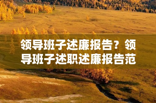 领导班子述廉报告？领导班子述职述廉报告范例