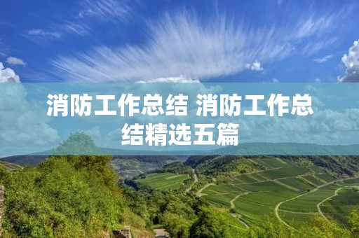 消防工作总结 消防工作总结精选五篇