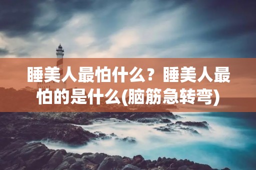 睡美人最怕什么？睡美人最怕的是什么(脑筋急转弯)