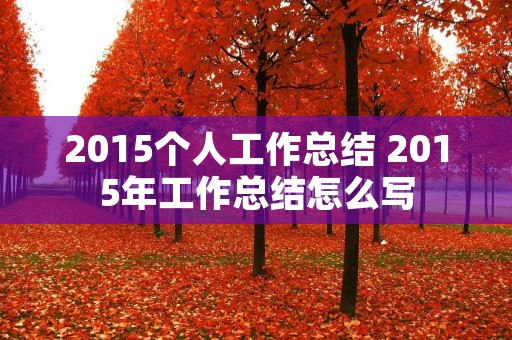 2015个人工作总结 2015年工作总结怎么写