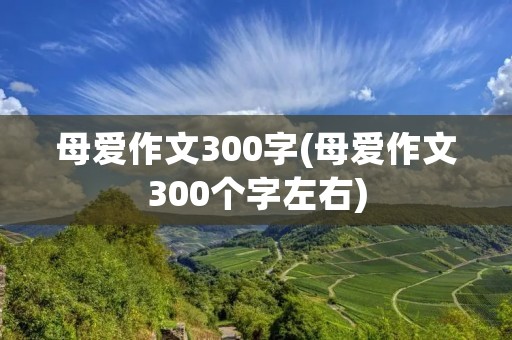母爱作文300字(母爱作文300个字左右)