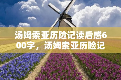 汤姆索亚历险记读后感600字，汤姆索亚历险记读后感600字作文10篇