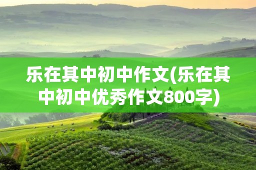 乐在其中初中作文(乐在其中初中优秀作文800字)