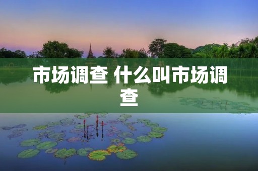 市场调查 什么叫市场调查