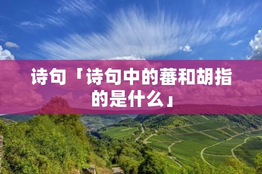 诗句「诗句中的蕃和胡指的是什么」 诗句「诗句中的蕃和胡指的是什么」