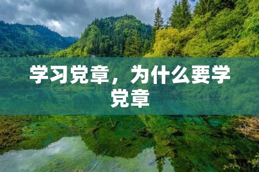 学习党章，为什么要学党章