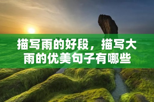描写雨的好段，描写大雨的优美句子有哪些