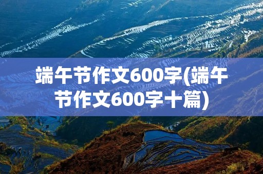 端午节作文600字(端午节作文600字十篇)