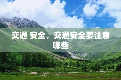 交通 安全，交通安全要注意哪些