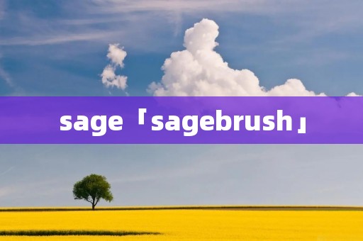 sage「sagebrush」 sage「sagebrush」