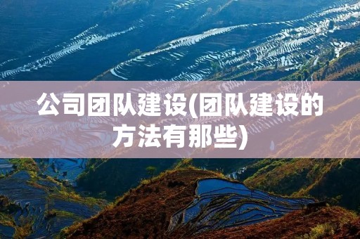 公司团队建设(团队建设的方法有那些)