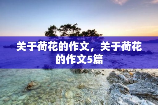 关于荷花的作文，关于荷花的作文5篇
