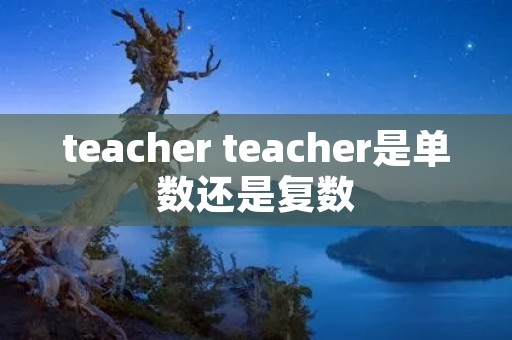 teacher teacher是单数还是复数