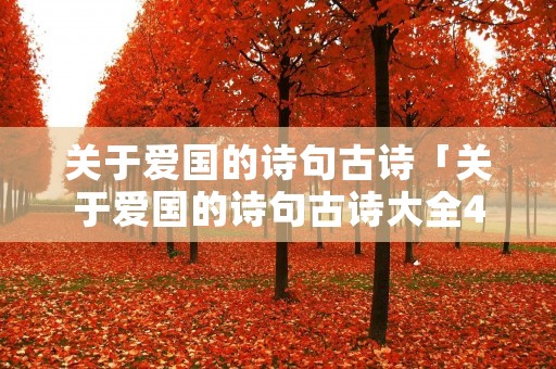 关于爱国的诗句古诗「关于爱国的诗句古诗大全4字4句」