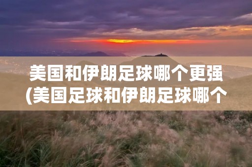 美国和伊朗足球哪个更强(美国足球和伊朗足球哪个厉害)