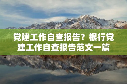 党建工作自查报告？**党建工作自查报告范文一篇