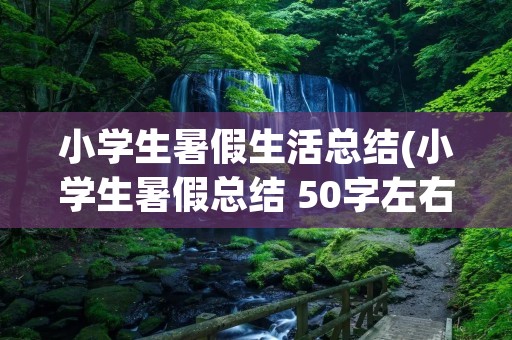 小学生暑假生活总结(小学生暑假总结 50字左右) 小学生暑假生活总结(小学生暑假总结 50字左右)