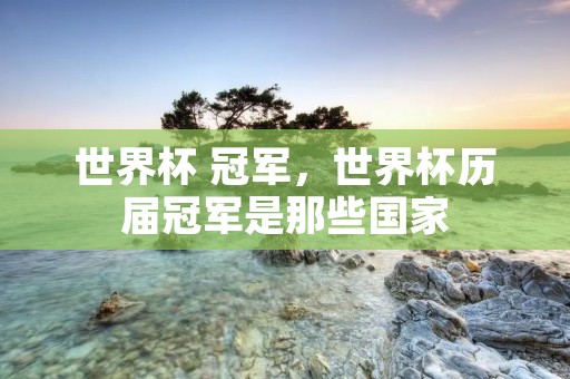 世界杯 冠军，世界杯历届冠军是那些国家
