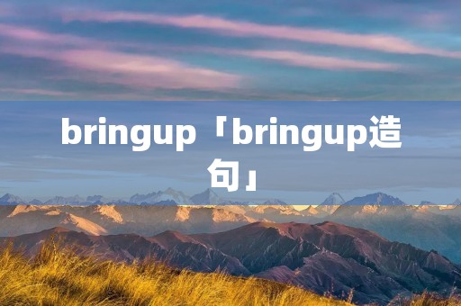bringup「bringup造句」