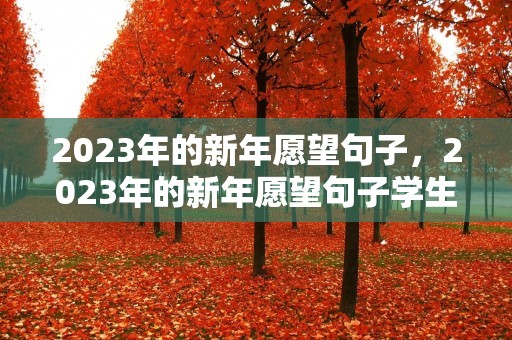 2023年的新年愿望句子,2023年的新年愿望句子学生版