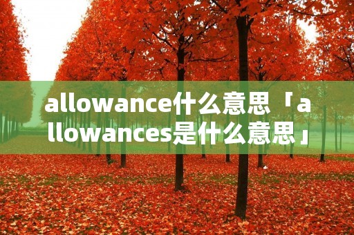 allowance什么意思「allowances是什么意思」