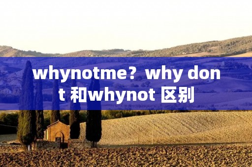 whynotme?why dont 和whynot 区别