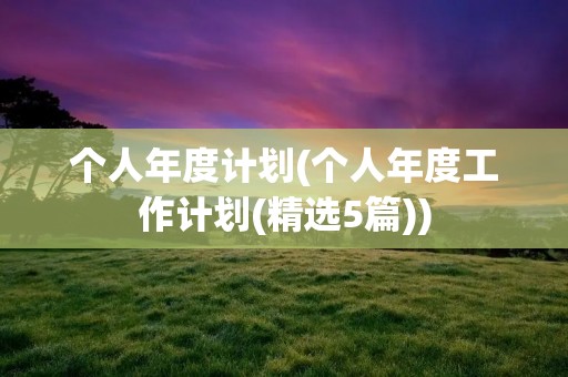 个人年度计划(个人年度工作计划(精选5篇))