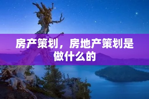 房产策划,房地产策划是做什么的