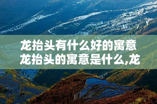 龙抬头有什么好的寓意 龙抬头的寓意是什么,龙抬头象征着什么