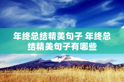 年终总结精美句子 年终总结精美句子有哪些