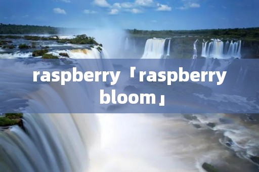 raspberry「raspberry bloom」