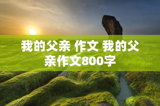 我的父亲 作文 我的父亲作文800字