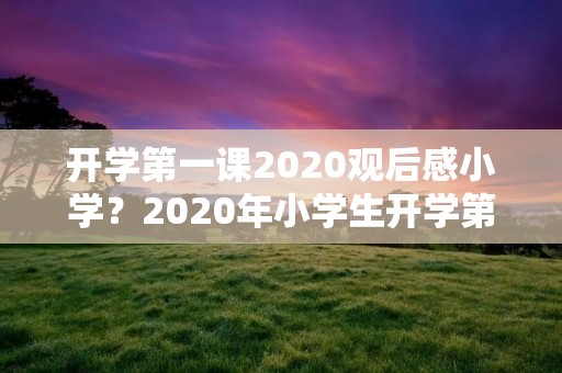 开学第一课2020观后感小学？2020年小学生开学第一课观后感500字【五篇】
