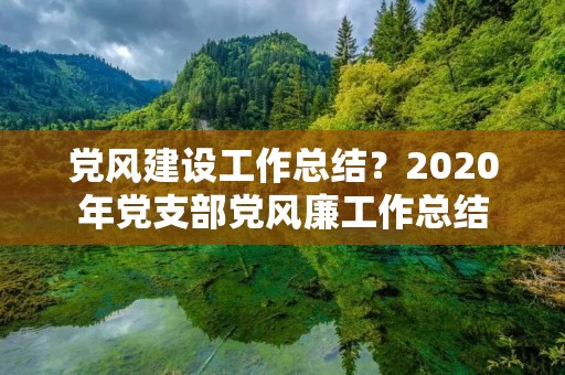 党风建设工作总结？2020年党支部党风廉工作总结